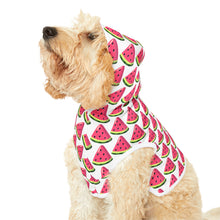 Watermelon Sugar Pet Hoodie