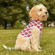 Watermelon Sugar Pet Hoodie