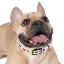 Proud Pup Dog Collar