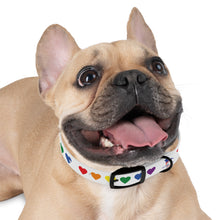 Proud Pup Dog Collar