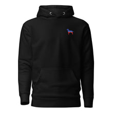 RBG Hoodie